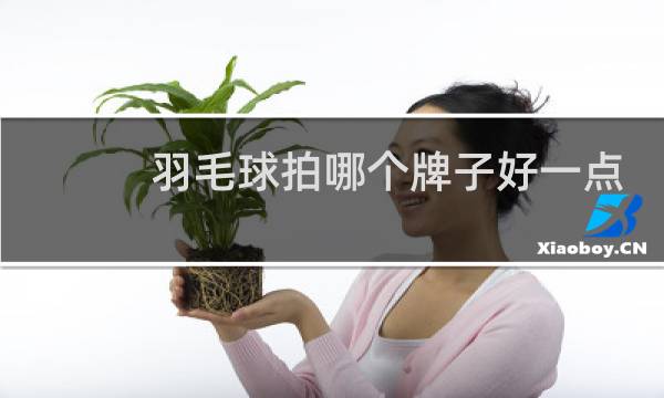 羽毛球拍哪个牌子好一点图片
