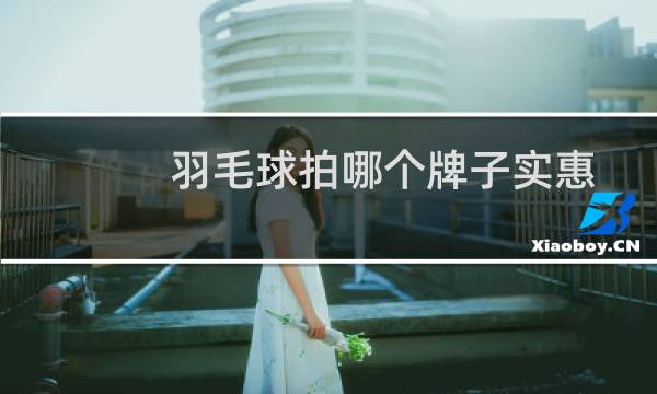 羽毛球拍哪个牌子实惠图片