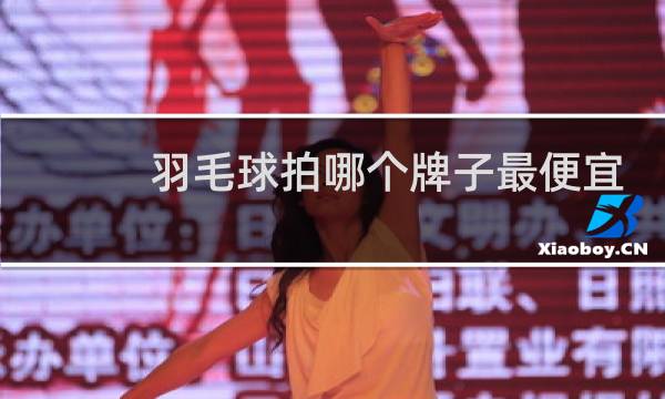 羽毛球拍哪个牌子最便宜图片