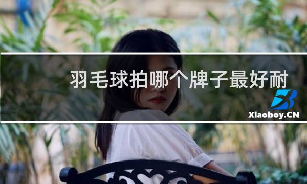 羽毛球拍哪个牌子最好耐用又便宜儿童图片