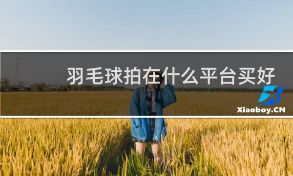 羽毛球拍在什么平台买好图片