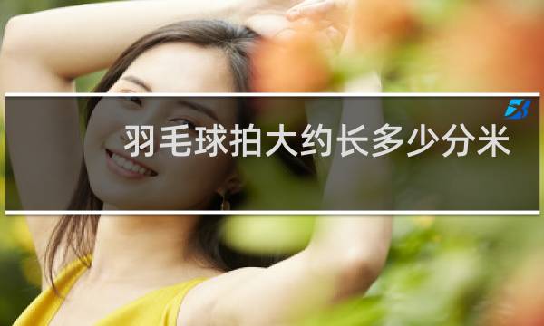 羽毛球拍大约长多少分米图片