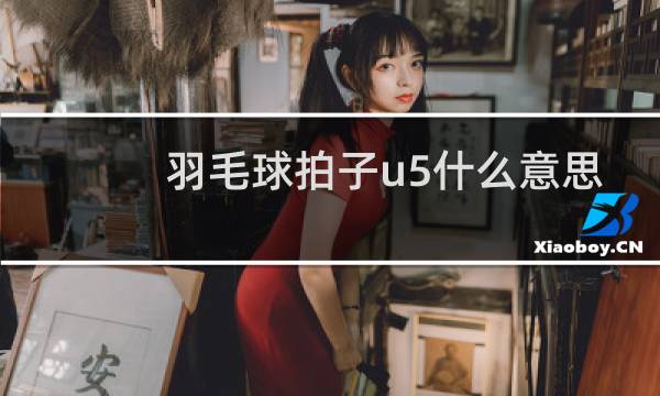 羽毛球拍子u5什么意思图片