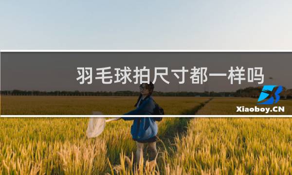 羽毛球拍尺寸都一样吗图片