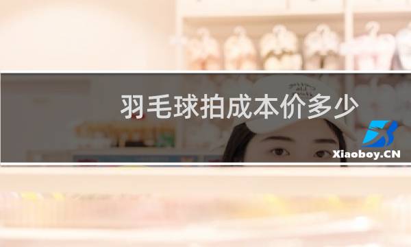 羽毛球拍成本价多少图片