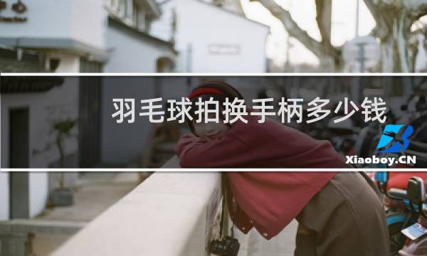 羽毛球拍换手柄多少钱图片