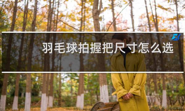 羽毛球拍握把尺寸怎么选图片