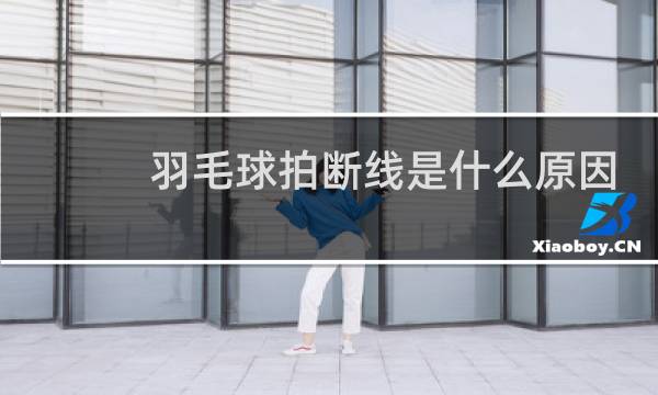 羽毛球拍断线是什么原因图片