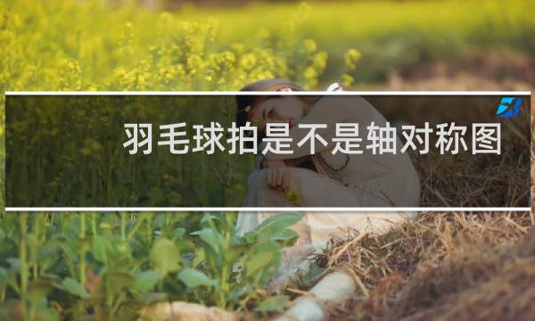 羽毛球拍是不是轴对称图形图片