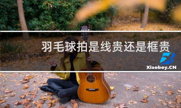 羽毛球拍是线贵还是框贵图片