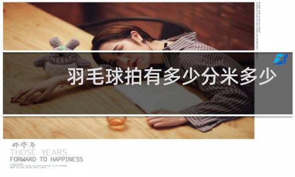 羽毛球拍有多少分米多少厘米图片