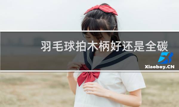 羽毛球拍木柄好还是全碳素好图片