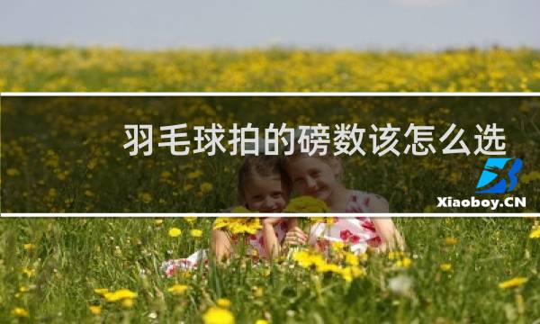 羽毛球拍的磅数该怎么选择图片