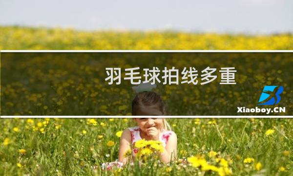 羽毛球拍线多重图片