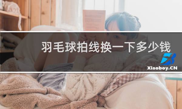 羽毛球拍线换一下多少钱图片