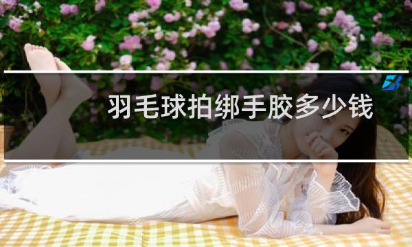 羽毛球拍绑手胶多少钱图片