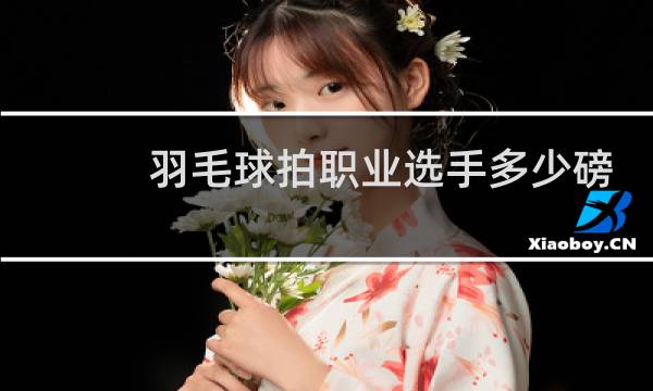 羽毛球拍职业选手多少磅图片