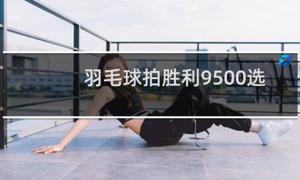 羽毛球拍胜利9500选3u还是4u图片