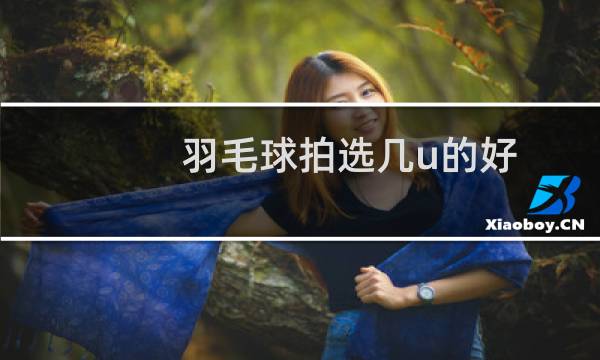 羽毛球拍选几u的好图片