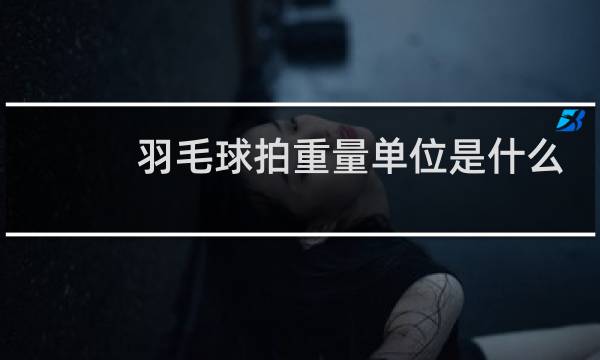 羽毛球拍重量单位是什么图片