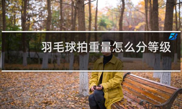 羽毛球拍重量怎么分等级图片