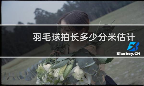 羽毛球拍长多少分米估计是多少图片
