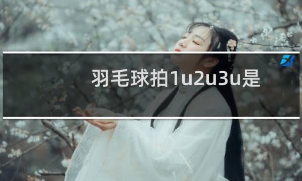 羽毛球拍1u2u3u是什么意思图片
