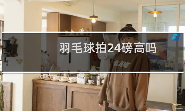 羽毛球拍24磅高吗图片