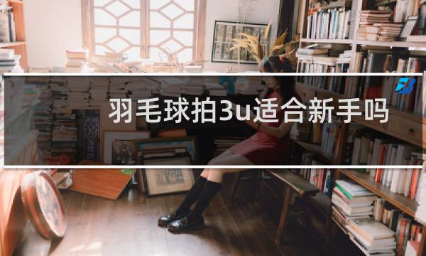 羽毛球拍3u适合新手吗图片