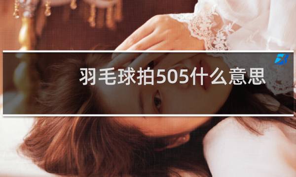 羽毛球拍505什么意思图片