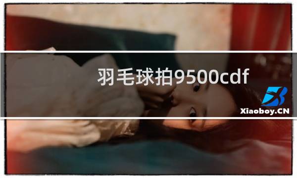 羽毛球拍9500cdfs什么意思图片