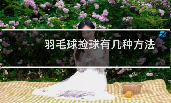 羽毛球捡球有几种方法图片