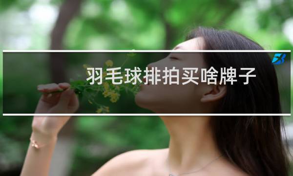 羽毛球排拍买啥牌子图片