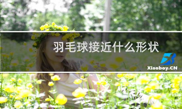 羽毛球接近什么形状图片