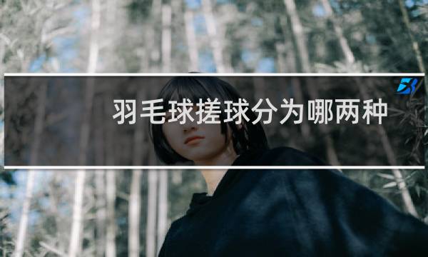 羽毛球搓球分为哪两种图片