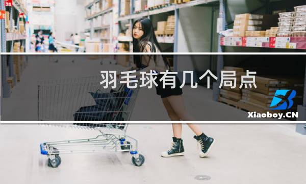 羽毛球有几个局点图片