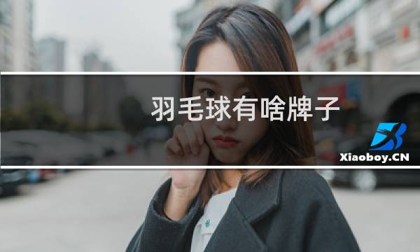 羽毛球有啥牌子图片