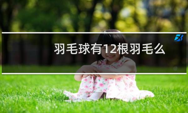 羽毛球有12根羽毛么图片