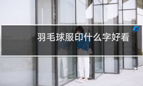 羽毛球服印什么字好看图片