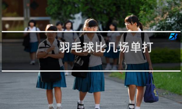 羽毛球比几场单打图片