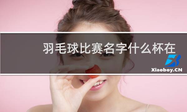 羽毛球比赛名字什么杯在引号里面还是外面图片