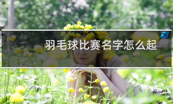 羽毛球比赛名字怎么起图片
