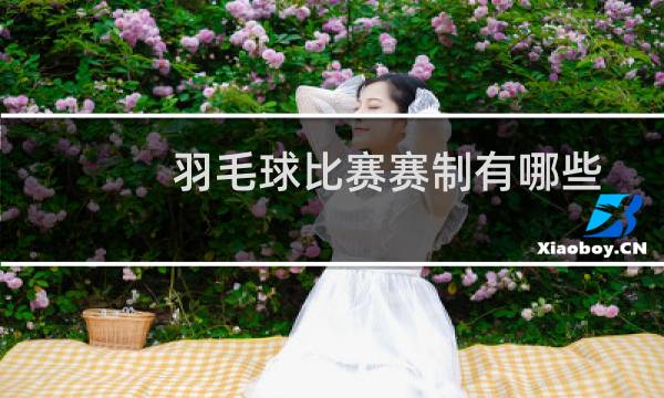 羽毛球比赛赛制有哪些图片