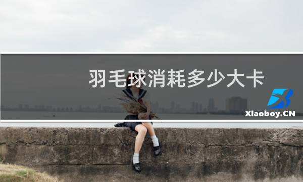 羽毛球消耗多少大卡图片
