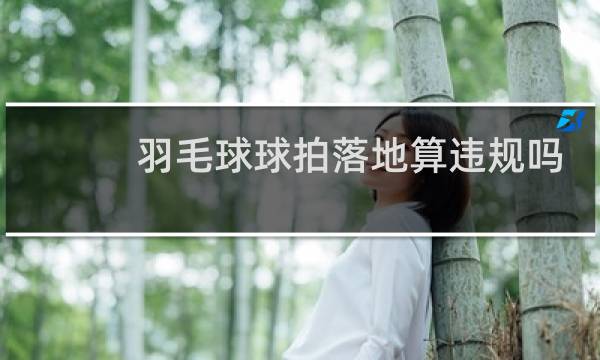 羽毛球球拍落地算违规吗图片