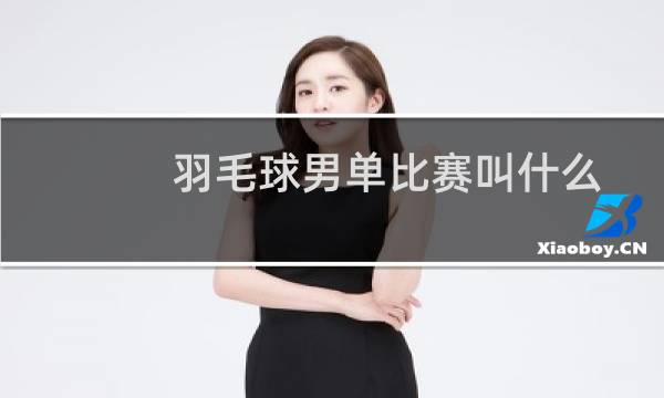 羽毛球男单比赛叫什么图片