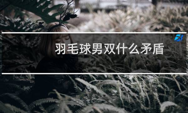 羽毛球男双什么矛盾图片