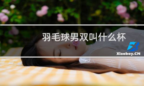 羽毛球男双叫什么杯图片