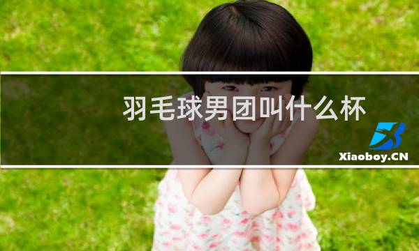 羽毛球男团叫什么杯图片
