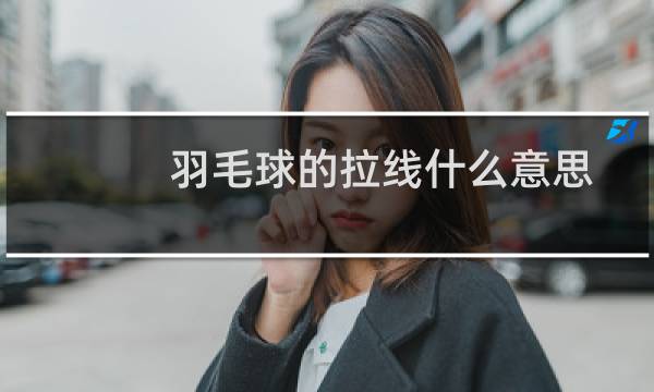 羽毛球的拉线什么意思图片